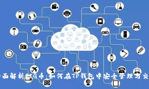 全面解析PIG币：如何在TP钱包中安全管理与交易